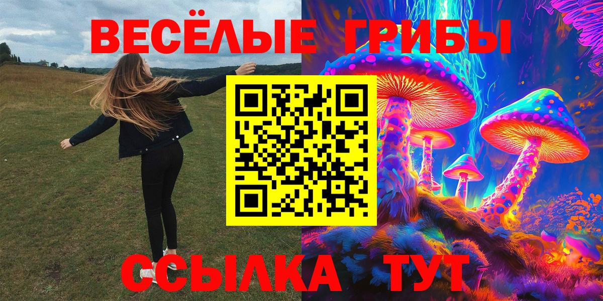 Долгопрудный  Галлюциногенные грибы MAGIC MUSHROOMS  купить   Вход с VPN 